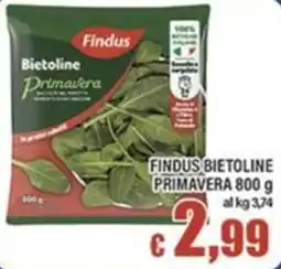 Top Supermercati Findus Bietoline Primavera offerta