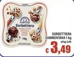 Top Supermercati Sorbettiera Sammontana offerta