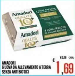 Supermercati EffePiù Amadori 6 uova da allevamento a terra senza antibiotici offerta