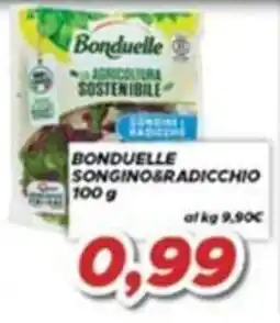 MA Supermercati Bonduelle songino e radicchio offerta