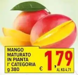 Iper Triscount Mango maturato in pianta 1° categoria offerta