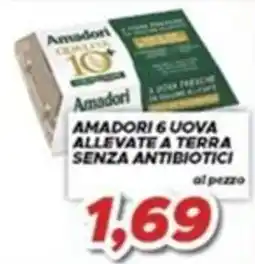 MA Supermercati Amadori 6 uova allevate a terra senza antibiotici offerta
