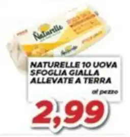 MA Supermercati Naturelle uova sfoglia gialla allevate a terra offerta