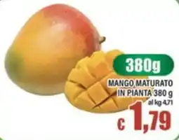 Top Supermercati Mango maturato in pianta offerta