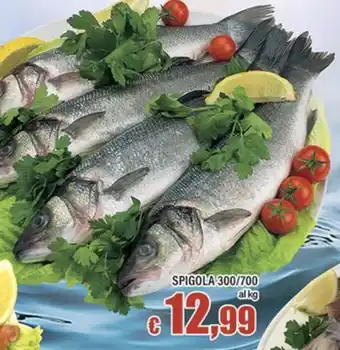 Spigola