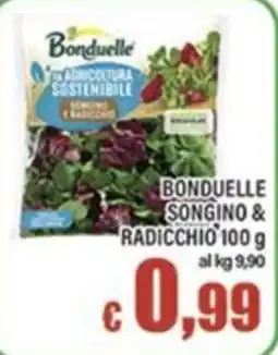 Top Supermercati Bonduelle songino & radicchio offerta