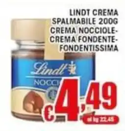 Sacoph Lindt crema spalmabile nocciole offerta