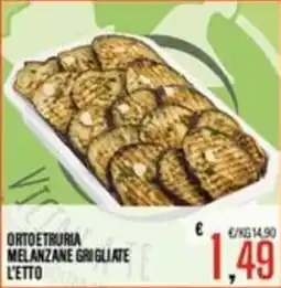 Supermercati EffePiù Ortoetruria melanzane grigliate offerta