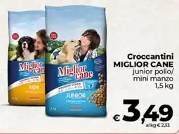 Ipercoop Radenza Croccantini Miglior Cane junior offerta
