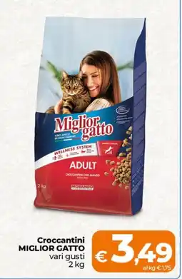 Ipercoop Radenza Croccantini Miglior Gatto offerta