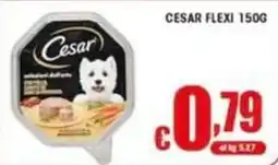Sacoph Cesar Flexi offerta