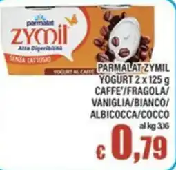 Top Supermercati Parmalat Zymil Yogurt al Caffè offerta