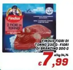 Idromarket Findus 2 Fiori di Tonno offerta