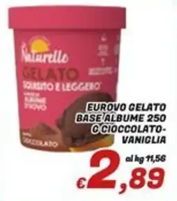 Idromarket Eurovo gelato base albume cioccolato-vaniglia offerta