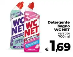 Ipercoop Radenza Detergente bagno WC NET offerta