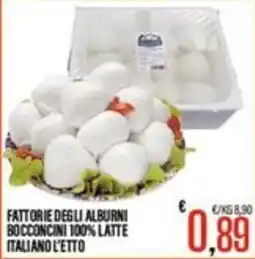 Supermercati EffePiù Fattorie degli Alburni Bocconcini 100% Latte Italiano offerta