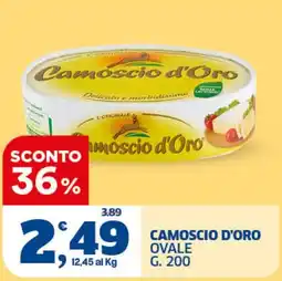 Ok Sigma Camoscio d'Oro offerta