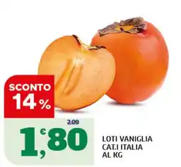 Ok Sigma Persimmon Vaniglia offerta