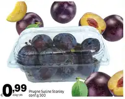 Elite Prugne Susine Stanley offerta