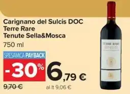 Carrefour Iper Carignano del Sulcis DOC Terre Rare offerta