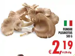Deco Iperstore Funghi Pleurotus offerta