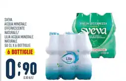 Gruppo Pascar Sveva acqua minerale effervescente naturale / Lilia acqua minerale naturale offerta