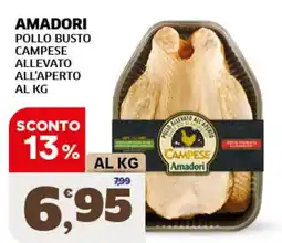 Ok Sigma Pollo busto campese offerta