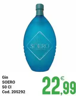 Centro Cash Gin SOERO offerta