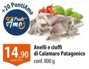 Anelli e ciuffi di Calamaro Patagonico