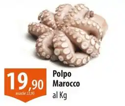 Panapesca Polpo Marocco offerta
