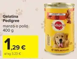 Carrefour Iper Gelatina Pedigree offerta