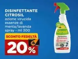 Alì Supermercati Disinfettante Citrosil offerta