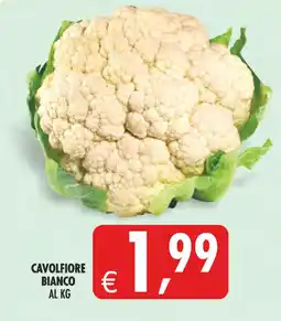 Deco Superstore Cavolfiore bianco offerta
