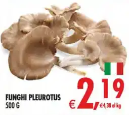Deco Supermercati Funghi Pleurotus offerta