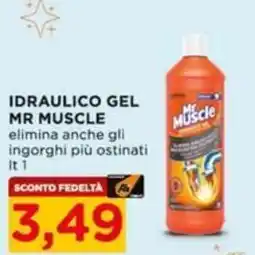 Alì Supermercati Idraulico gel Mr Muscle offerta