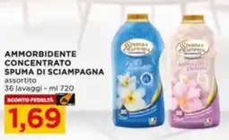 Alì Supermercati Ammorbidente concentrato Spuma di Sciampagna offerta