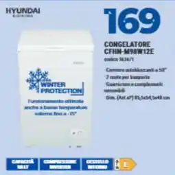 Elettrosintesi Congelatore Hyundai offerta