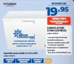 Elettrosintesi Hyundai congelatore offerta
