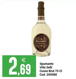 Centro Cash Spumante Villa Selli offerta