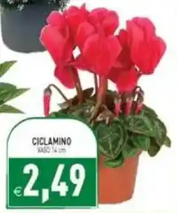 Pim Supermercati Ciclamino offerta
