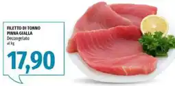 Emi Supermercati Filetto di tonno pinna gialla offerta