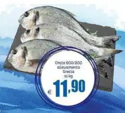 Elite Orate offerta