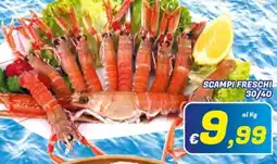 Idromarket Scampi freschi offerta