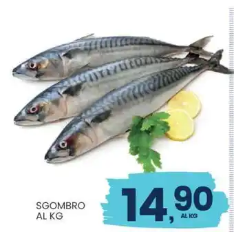 SGOMBRO AL KG