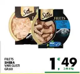 Eurospar FILETS SHEBA offerta