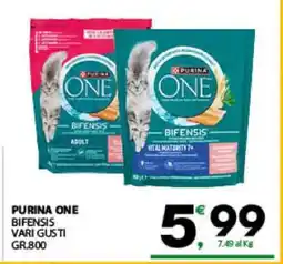 Eurospar Purina One offerta