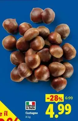 Lidl Castagne offerta