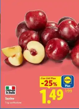 Lidl Susine offerta