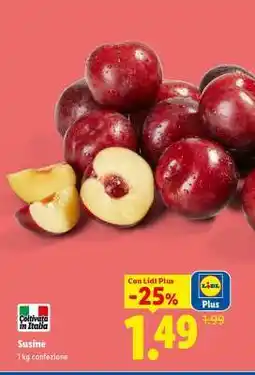 Lidl Susine offerta
