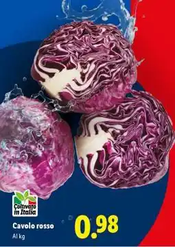 Lidl Cavolo rosso offerta